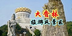 公交车上被强歼中国浙江-绍兴大香林旅游风景区
